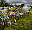 Wolfsburg Weedhuggers Lazy Day 2014