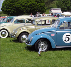 Stonor Park 2013