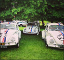 VW Expo Stonor Park